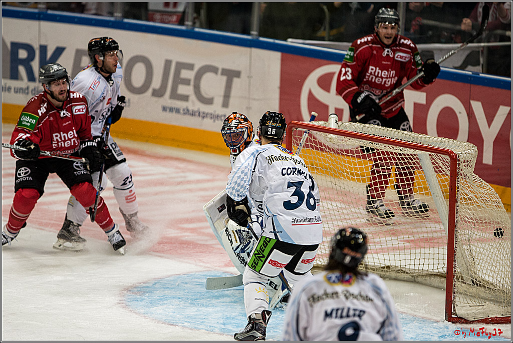 Koelner Haie - Straubing Tigers, 03.10.2016